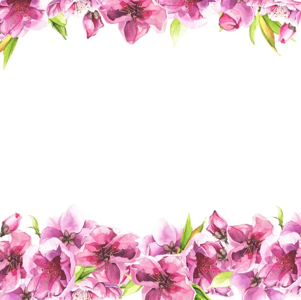 Aquarell rosa Kirschblüten. Floraler Rahmen. Illustration der Arrangements. — Stockfoto