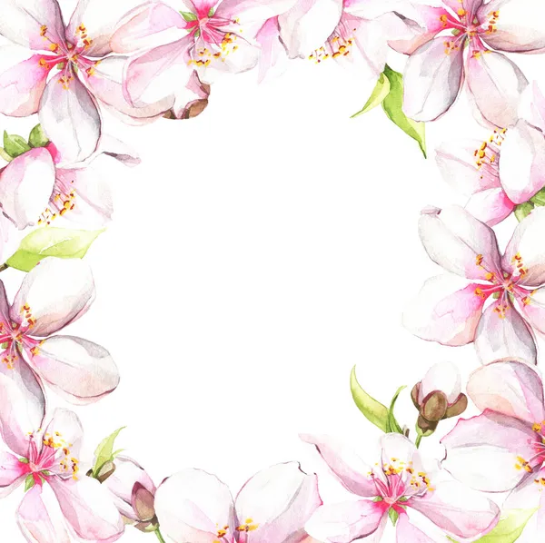 Watercolor white cherry blossoms. Isolated floral frame arrangement illustration. — Stock Photo, Image