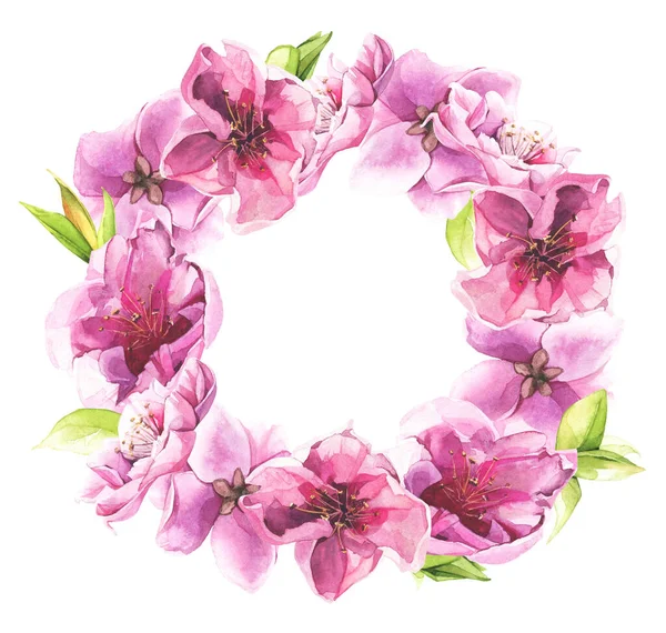 Watercolor pink cherry blossoms. Floral wreath. Arrangement illustration. — Stock Photo, Image