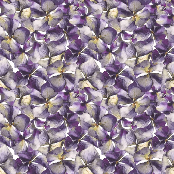 Watercolor floral seamless pattern. Hydrangea violet flowers. — Stock Photo, Image