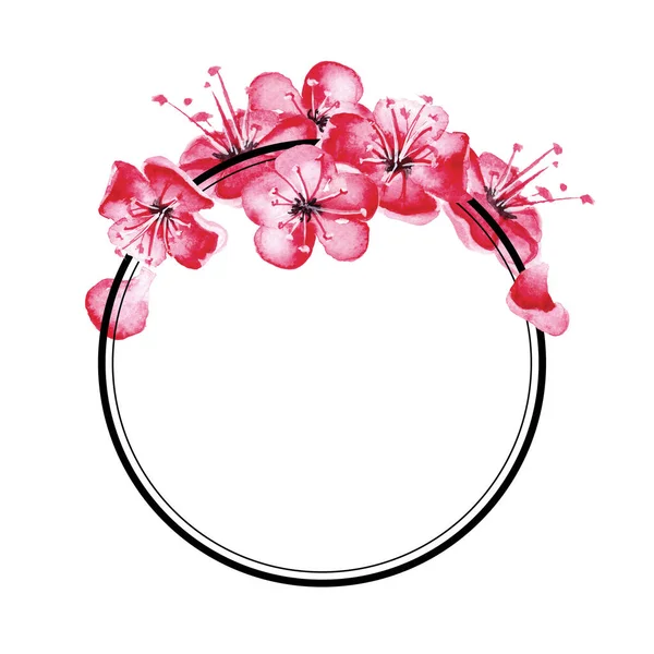 Hand drawn watercolor round line frame with sakura flowers. — Stock Photo, Image