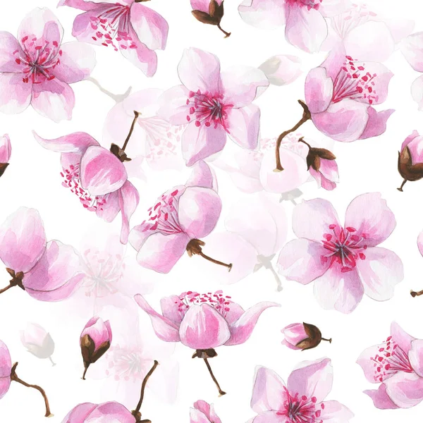 Hand drawn watercolor romantic seamless pattern with pink sakura flowers. — стоковое фото