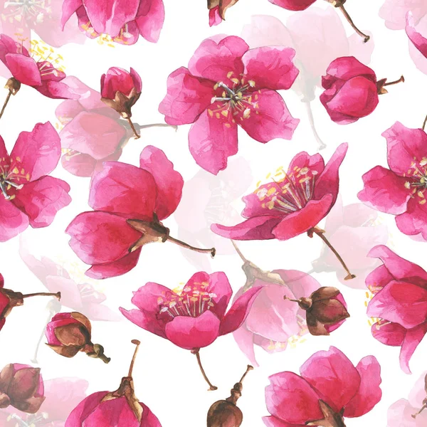 Hand drawn watercolor romantic seamless pattern with pink sakura flowers. — стоковое фото