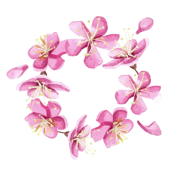 Hand drawn watercolor romantic wreath with pink sakura flowers. — Stock Photo, Image