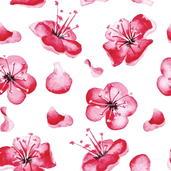 Ručně kreslené akvarel bezešvný vzor s růžovou sakura květy. — Stock fotografie