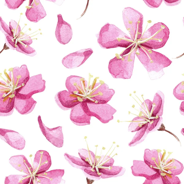 Hand drawn watercolor seamless pattern with pink sakura flowers.