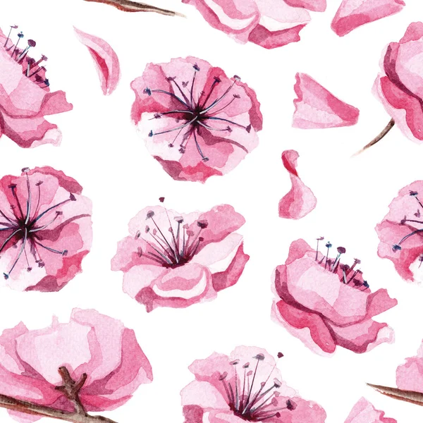 Aquarelle dessinée à la main motif sans couture avec des fleurs sakura roses. — Photo