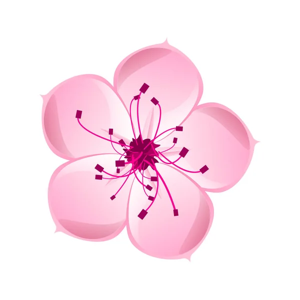 Bunga sakura yang terisolasi. Kartun merah muda dan mekar putih dari pohon ceri Jepang. - Stok Vektor