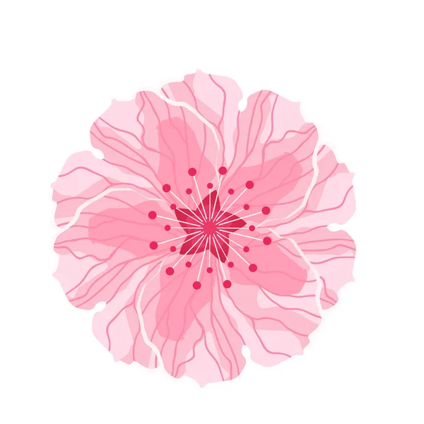 Flor aislada de sakura. Dibujos animados rosa y flor blanca de cerezo japonés. — Vector de stock