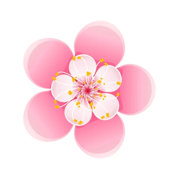 Flor isolada de sakura. Desenhos animados rosa e branco flor de cerejeira japonesa. —  Vetores de Stock