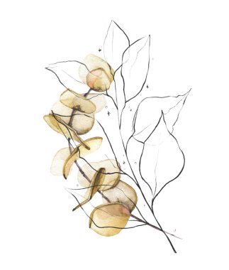 Bej okaliptüs dallı buket ve siyah çizgili resim yaprakları. Suluboya çiçek düzenleme tasarımı. 