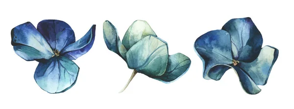 Aquarela pintada conjunto de flores azuis e esmeralda de hortênsia. Vetor traçado coleção floral isolado. — Vetor de Stock