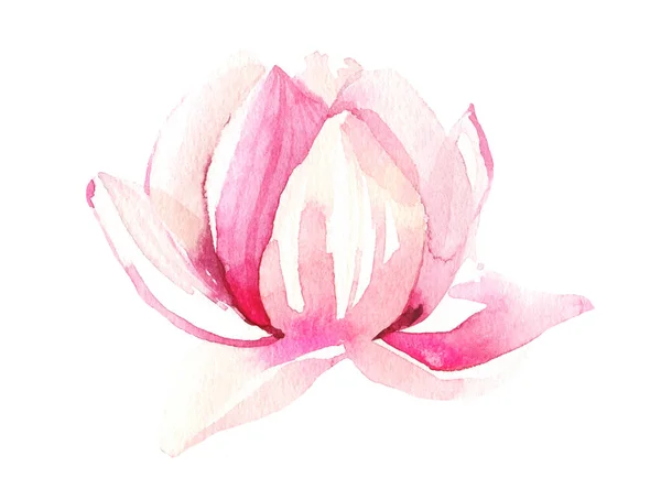 Aquarelle peinte fleur de lotus rose clair. Illustration florale isolée tracée vectorielle. — Image vectorielle