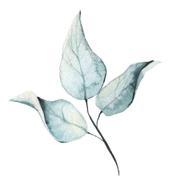 Υδατογραφία floral ανοιχτό μπλε κλαδί. Vector εντοπιστεί απομονωμένη απεικόνιση brunch — Διανυσματικό Αρχείο