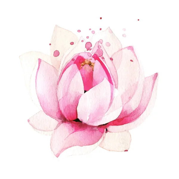 Aquarell gemalte hellrosa Lotusblume. Vektor verfolgt florale isolierte Illustration. — Stockvektor