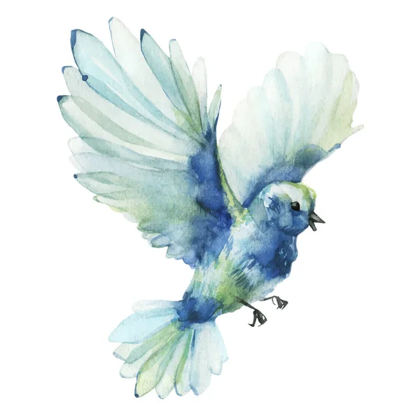 Blue and azure flying bird. Vector traced gentle watercolor painted illustration. — Stock Vector