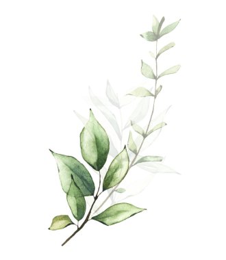 Narin yeşillik aranjmanı suluboya. Dallı buket, yeşil yapraklı.. 