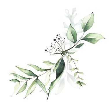 Narin yeşillik aranjmanı suluboya. Dallı buket, yeşil yapraklı.. 