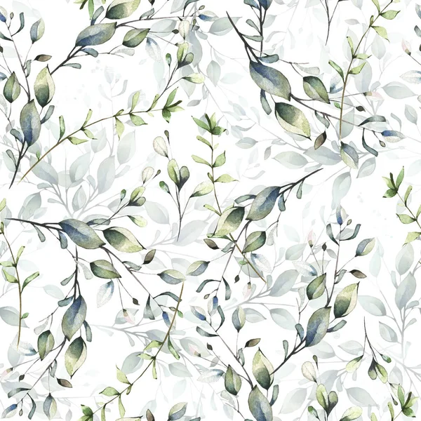 Brindilles sauvages vertes et branches aux feuilles. Aquarelle motif floral sans couture. — Photo