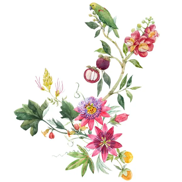 Bella composizione floreale tropicale con acquerello disegnato a mano fiori esotici giungla. Illustrazione delle azioni. Clip art. — Foto Stock