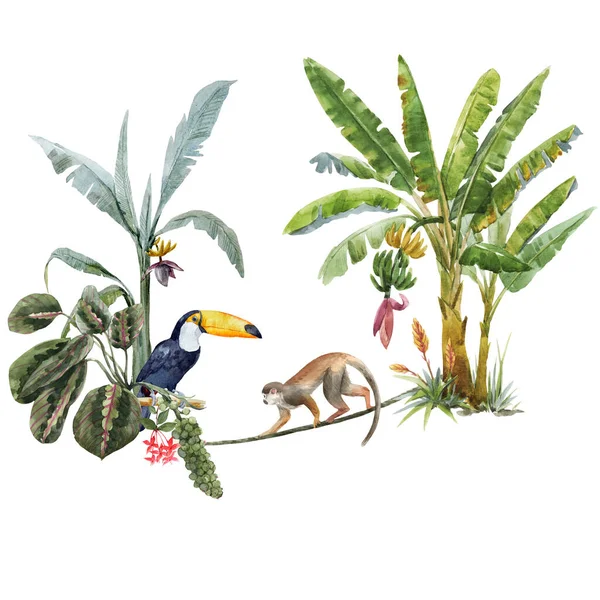 Prachtige tropische compositie met met de hand getekende aquarel exotische jungle palmbomen en dieren. Toekan en aap. Voorraadillustratie. — Stockfoto