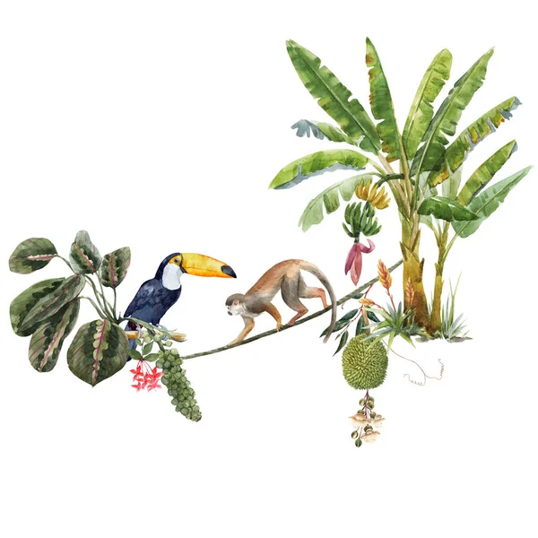 Bela composição tropical com aquarela desenhada à mão palmeiras exóticas da selva e animais. Toucan e macaco. Ilustração das existências. — Fotografia de Stock