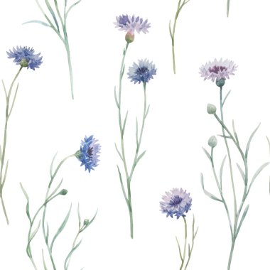 Güzel vektörsüz çiçek deseni, elle çizilmiş suluboya, nazik kır çiçekleri, mısır çiçeği. Stok resimlemesi.