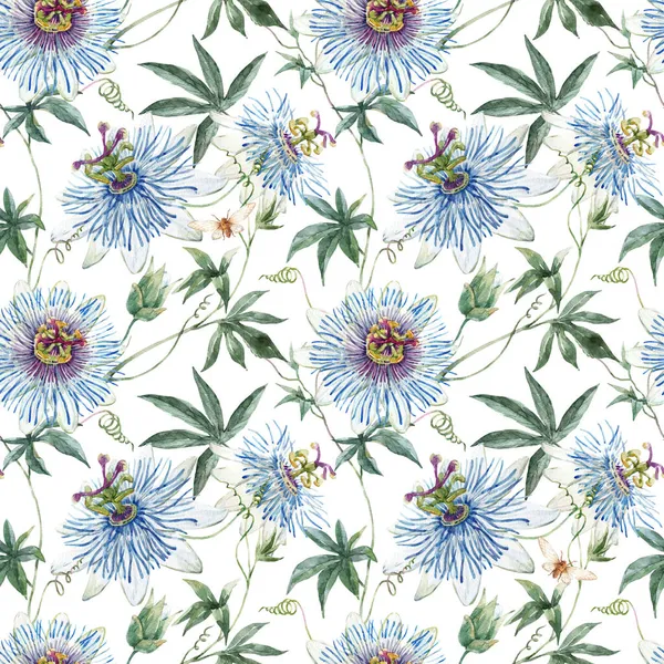 Bellissimo motivo floreale senza cuciture con acquerello disegnato a mano blu passiflora. Illustrazione delle scorte. — Foto Stock