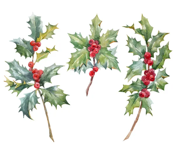 Elle çizilmiş suluboya kırmızı Holly dallarıyla güzel bir Noel seti. Stock 2022 kış illüstrasyonu. — Stok fotoğraf