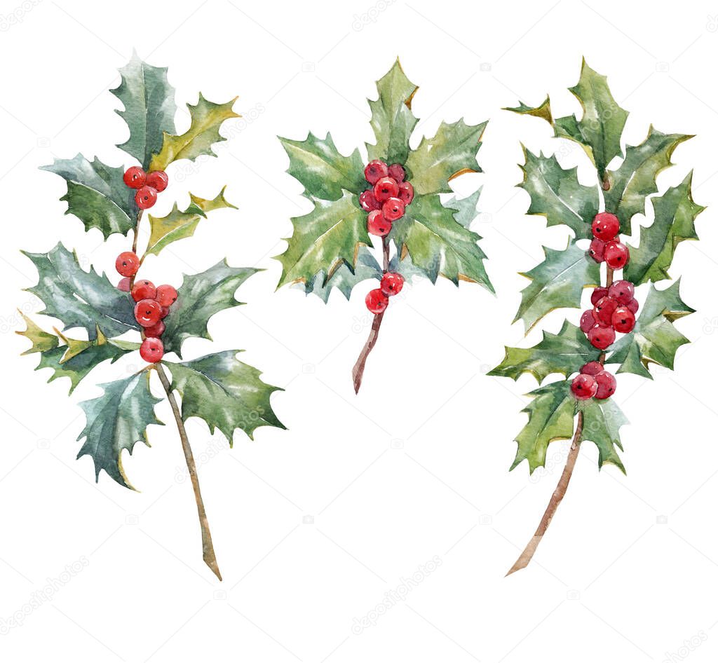 Beautiful floral christmas set with hand drawn watercolor winter red holly branches. Stock 2022 winter illustration.