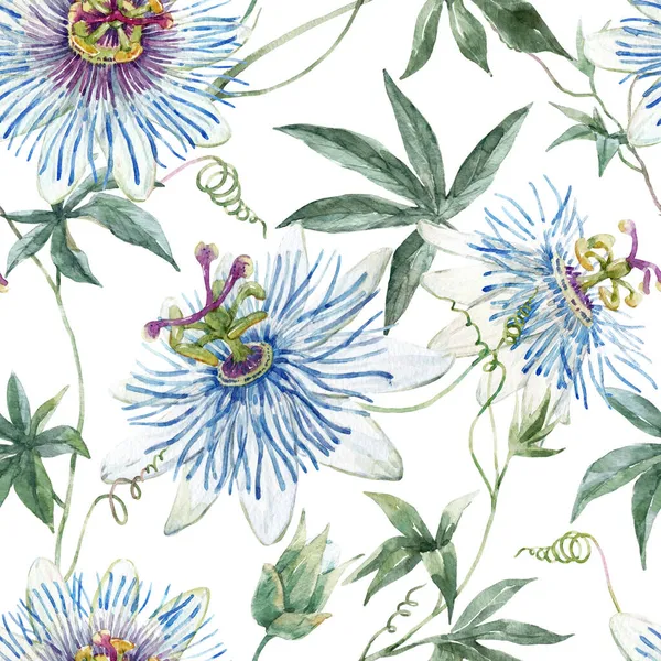 Schöne florale nahtlose Muster mit handgezeichneten Aquarell blauen Passionsblumen. Archivbild. — Stockfoto