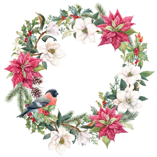 Bela moldura de Natal floral com mão desenhada aquarela flores de inverno, como poinsettia vermelho e ramo azevinho. Estoque 2022 ilustração de inverno. — Fotografia de Stock