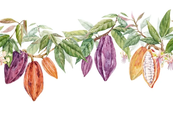 Bellissimo modello tropicale senza soluzione di continuità con frutta e foglie di cacao acquerello disegnate a mano. Illustrazione delle scorte. — Foto Stock