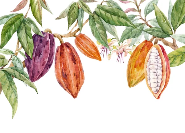 Bellissimo modello tropicale senza soluzione di continuità con frutta e foglie di cacao acquerello disegnate a mano. Illustrazione delle scorte. — Foto Stock