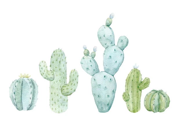 Mooie set met met de hand getekende aquarel cactus. Voorraadillustratie. — Stockfoto