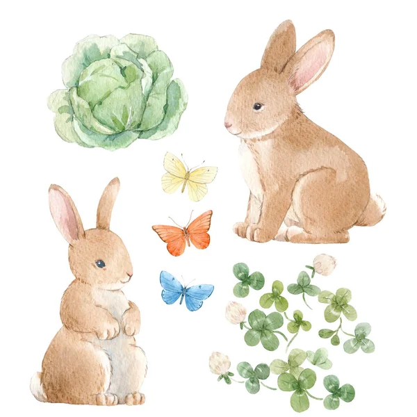 Beautiful set with cute watercolor hand drawn rabbits and cabbage. Stock illustration. — Photo