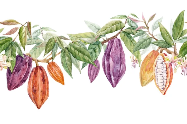 Bellissimo modello tropicale senza soluzione di continuità con frutta e foglie di cacao acquerello disegnate a mano. Illustrazione delle scorte. — Foto Stock