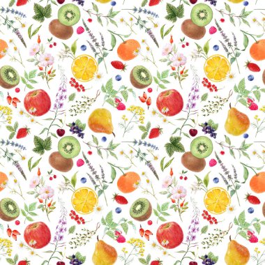 Elle çizilmiş suluboya, armut armudu, vişne armudu ve erik aromalı güzel desenler. Stok illüstrasyonu.