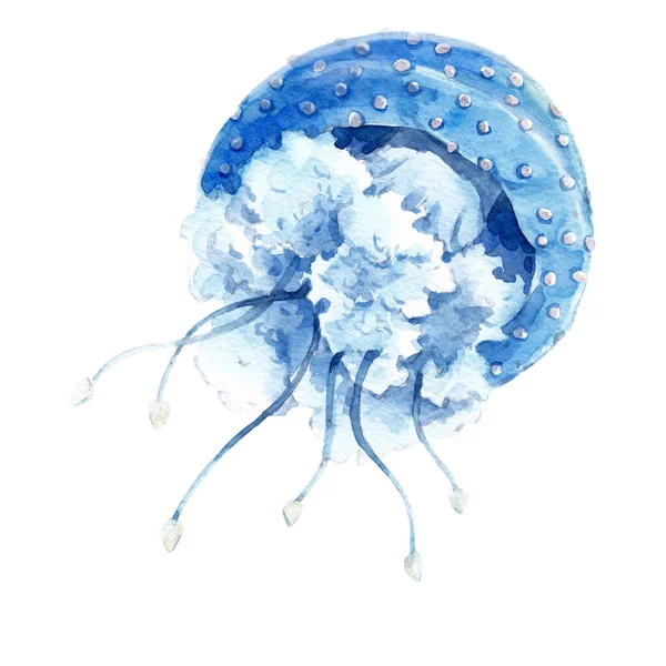 Beautiful image with cute watercolor underwater sea life jellyfish. Stock illustration. — Stock Photo, Image