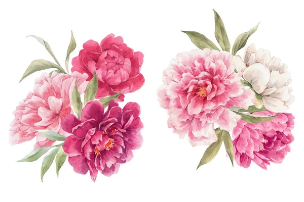 Gyönyörű virágos készlet akvarell kézzel rajzolt bazsarózsa virág csokrok. Készletillusztráció. — Stock Fotó
