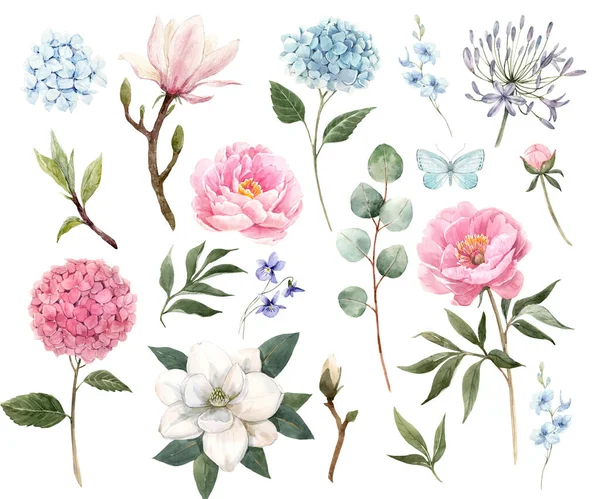 Bel ensemble avec des fleurs dessinées à la main aquarelle. Illustration de stock. — Photo