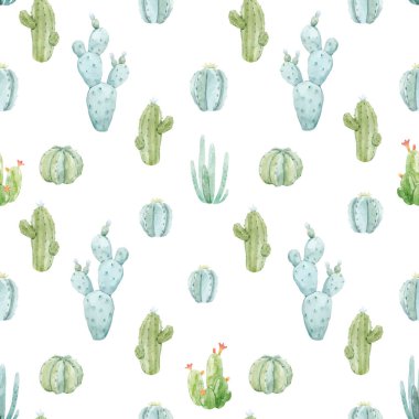 Elle çizilmiş suluboya kaktüslü güzel, pürüzsüz bir şekil. Stok illüstrasyonu.