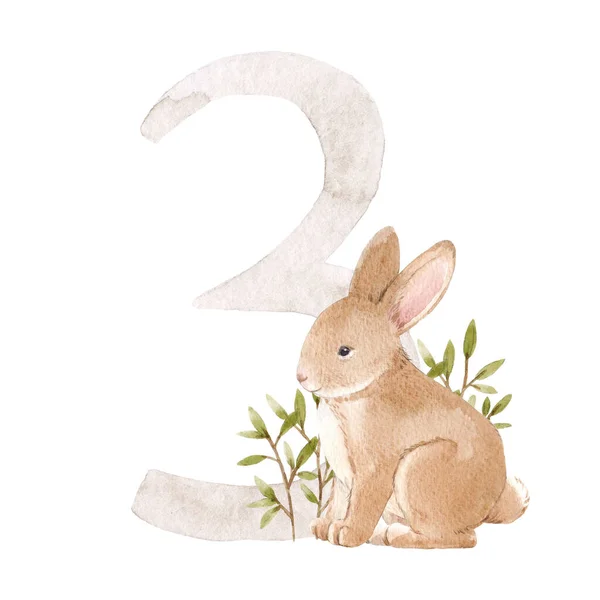 Belle Illustration Stock Avec Aquarelle Numéro Animal Mignon Pour Bébé — Photo