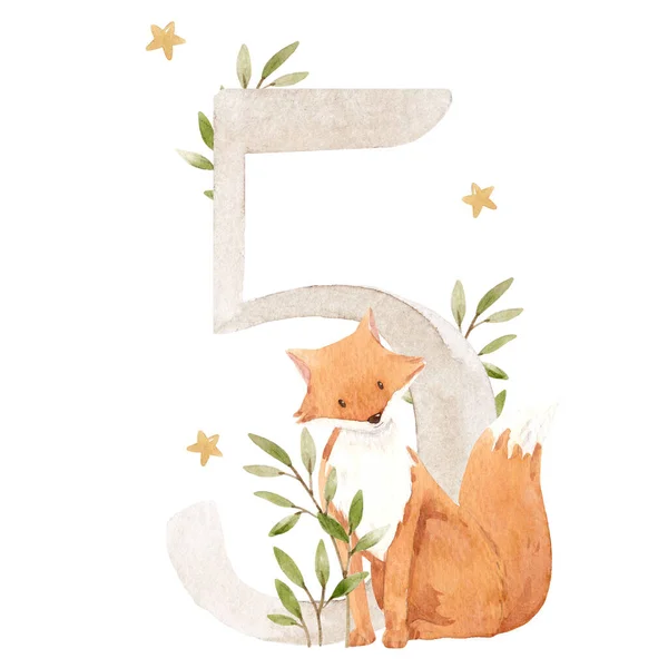 Mooie stock illustratie met aquarel hand getrokken nummer 5 en schattige vos dier voor baby clip art. Vijf maanden, jaren.. — Stockfoto