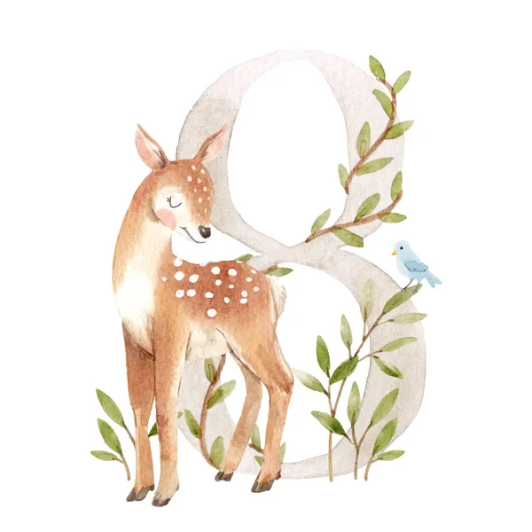 Gyönyörű stock illusztráció akvarell kézzel rajzolt száma 8 és aranyos fawn állat baby clip art. Nyolc hónap, év. — Stock Fotó