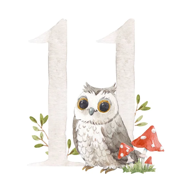 Belle illustration de stock avec aquarelle numéro 11 dessiné à la main et oiseau hibou mignon pour bébé clip art. Onze mois, années. — Photo