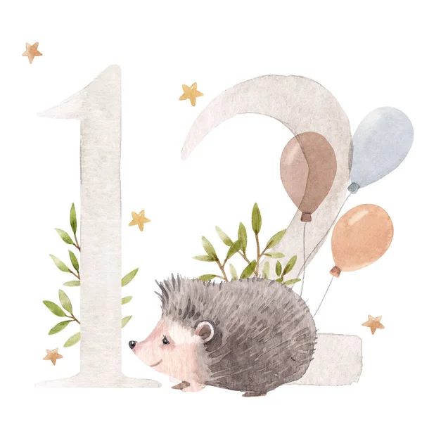 Bela ilustração estoque com aquarela mão desenhada número 12 e bonito ouriço animal para bebê clip art. Doze meses, anos. — Fotografia de Stock