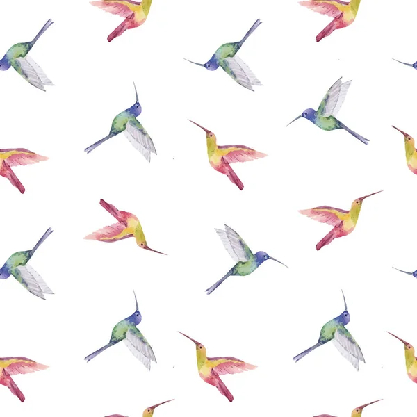 Beautiful Seamless Pattern Cute Watercolor Hummingbirds Colibri Birds Stock Illustration — Stock Vector