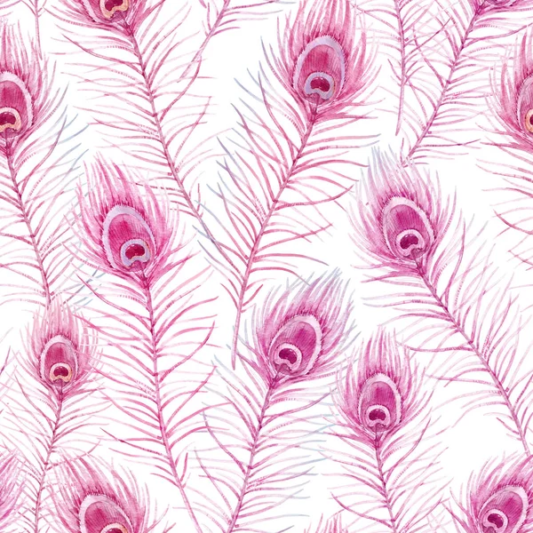 Beau motif sans couture avec des plumes de paon rose dessinées à la main à l'aquarelle. Illustration de stock. — Photo