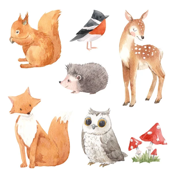 Krásná sada s roztomilou akvarel ručně kreslené divoké lesní zvířata ježek liščí sova medvědí veverka. Stock illustration. — Stock fotografie